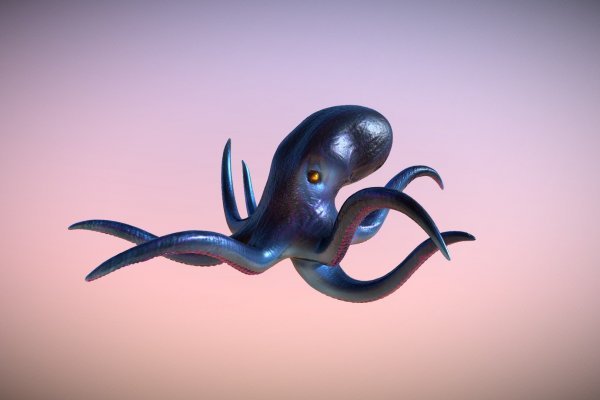 Kraken kraken link24 info