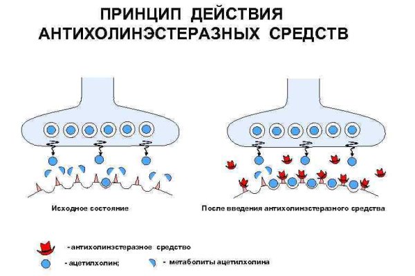 Кракен 20 at